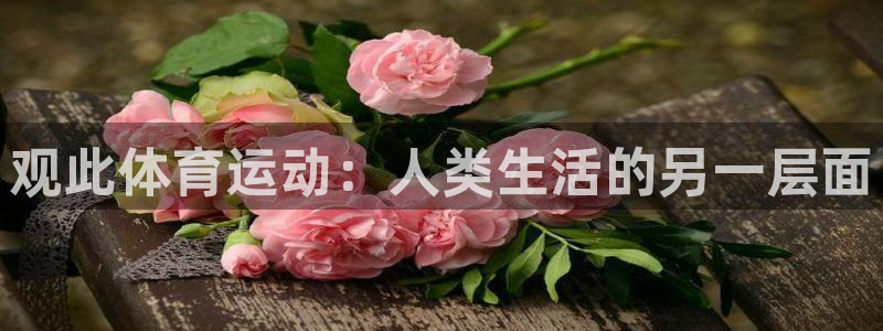 必一运动官网入口