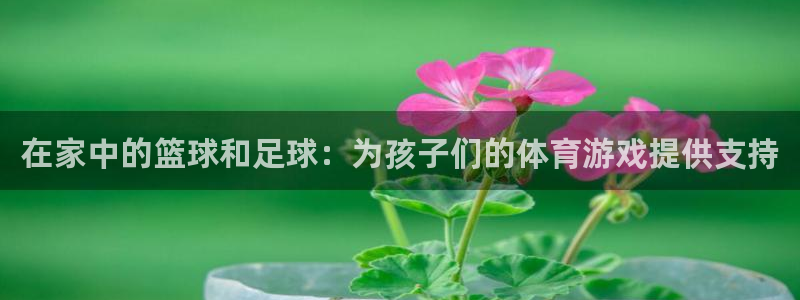 bsports必一运动