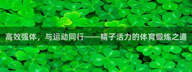 必一运动bsport体育