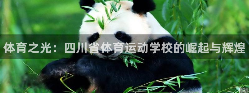 必一运动官网