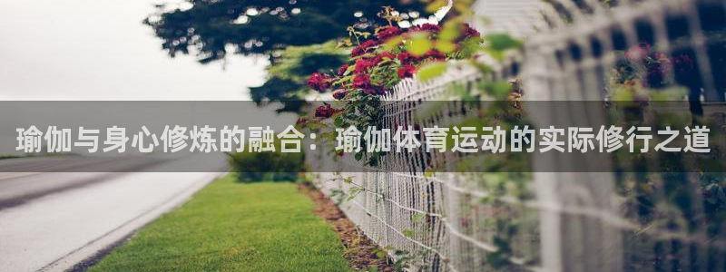 必一运动体育官网