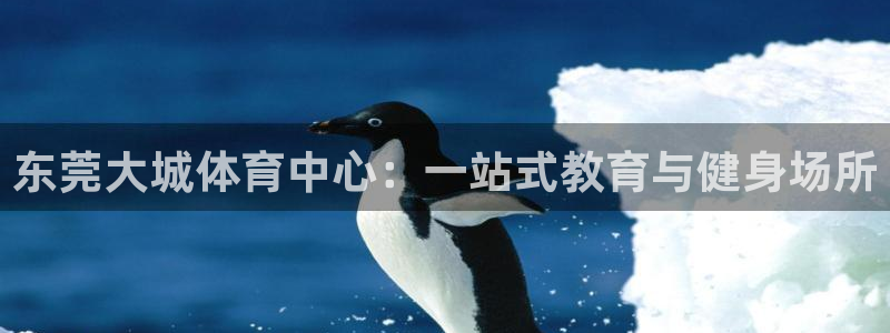 bsport必一运动