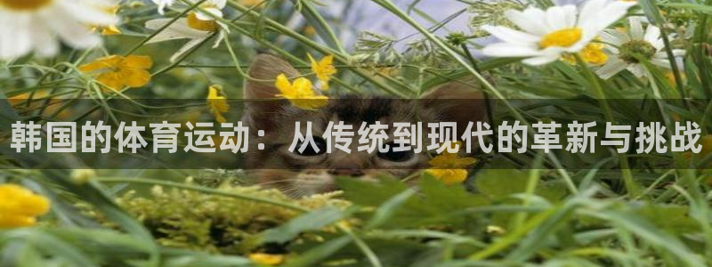 必一运动体育官网入口