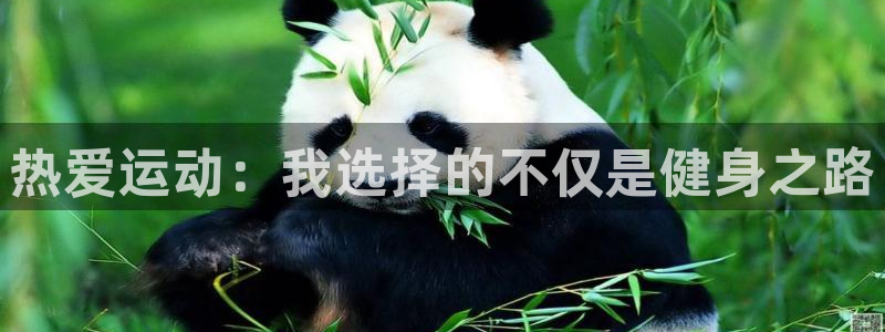 必一运动官网入口