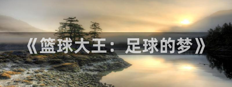 必一运动体育